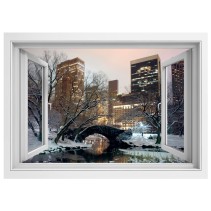Ventana 3d central park nueva york
